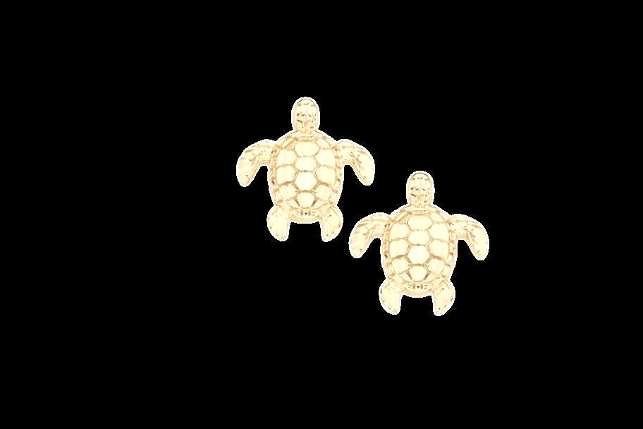 Aretes Tortuga